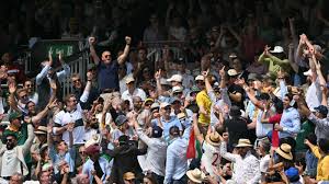 Cricket Access 