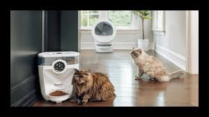  Litter-Robot Deals