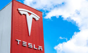Tesla Influencers
