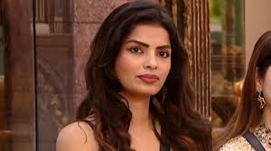 Bigg Boss