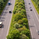 NHAI’s ‘Arogya Van’ Is Turning India’s Highways Into Healing Green Corridors — Here’s What You Need to Know