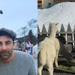 Alia & Ranbir Celebrate 4th Anniversary: Dreamy Vacation Pics & ‘Wonderful Life’ Magic Revealed!