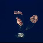 Netflix Just Became a Space Channel — Watch NASA’s Historic Artemis II Splashdown Live Right Now