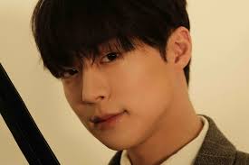 Bae In Hyuk