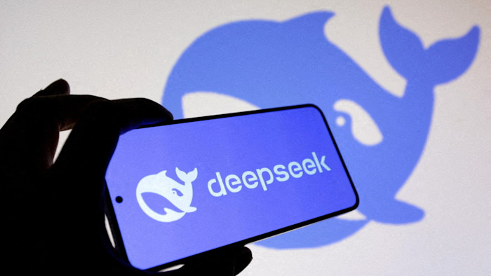 DeepSeek Valuation Guide