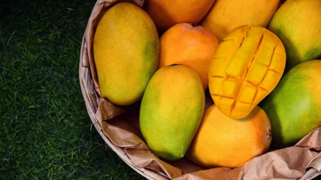 Indian Mangoes