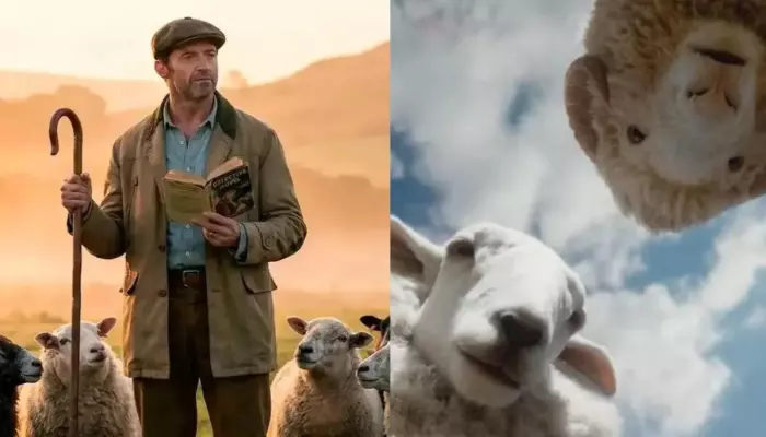 The Sheep Detectives