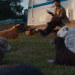 The Fluffy Whodunit That Will Wreck You — ‘The Sheep Detectives’ Ending Fully Explained
