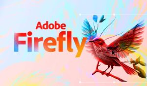 Adobe Firefly Expands with AI Assistant Upgrades and New Creative Studio
