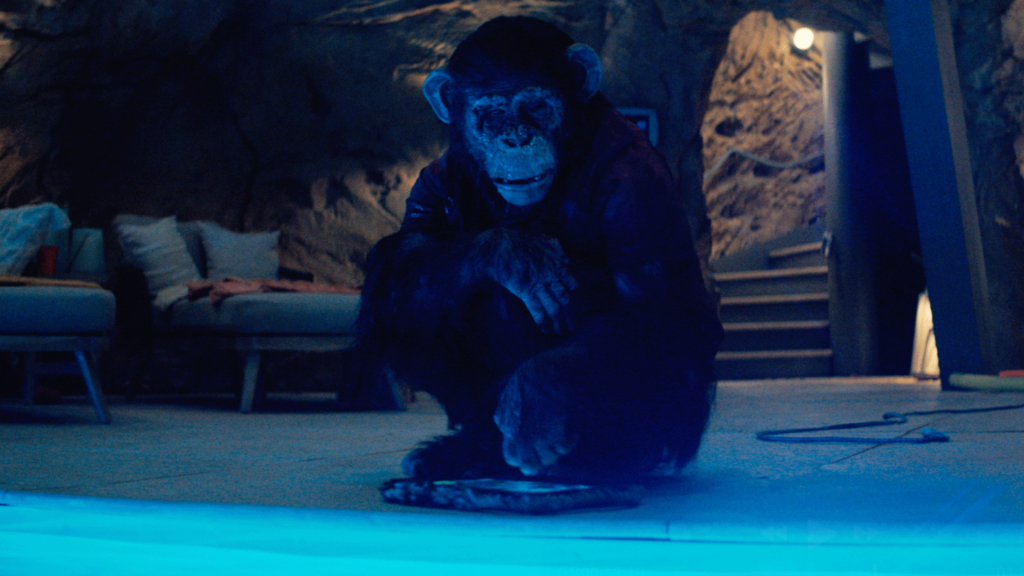 Primate Movie
