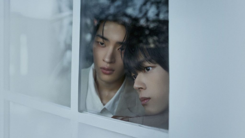 BL Dramas