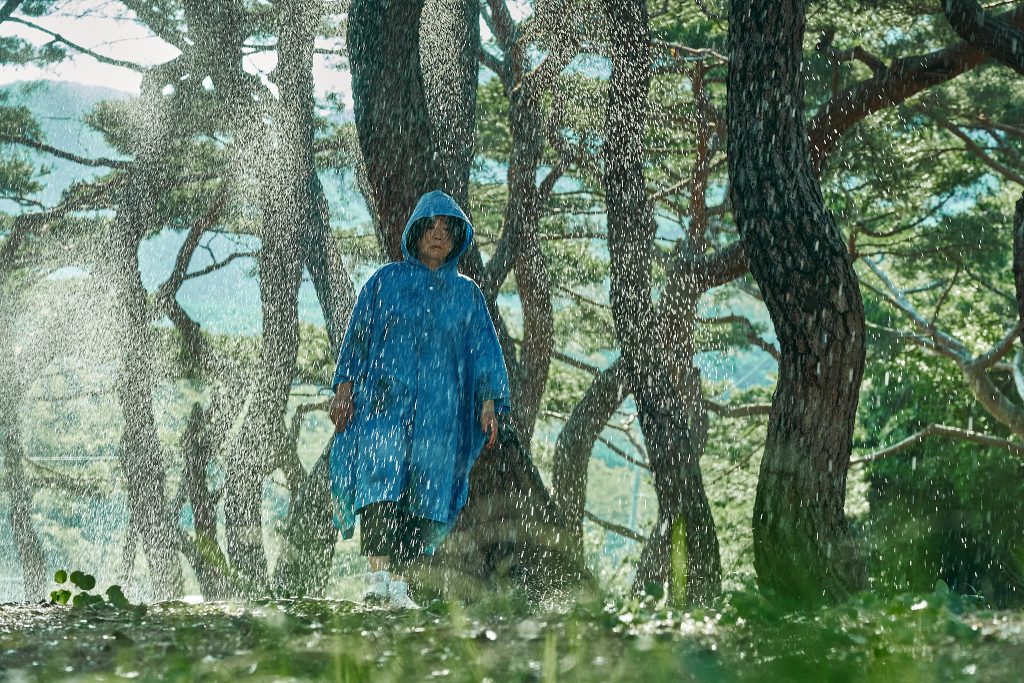 The Journey to Gyeongju