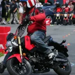 Balancing Daily Commute Efficiency Between The Honda Grom and Kawasaki Z125