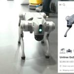Robot Dogs, Teslas, and Rescue Helicopters: The UN AI Summit Was a Lot