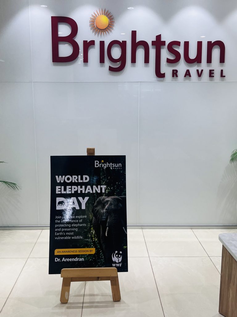 Brightsun Travel India