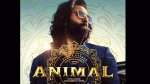 Animal and the Cinematic Art of Provocation in Modern Bollywood