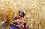Unpaid Labor of Women Farmers Costs Indian Economy Billions, Arya.ag Report Finds