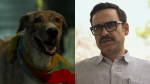 Ohh My Dog Is Melting Hearts on Twitter — Here’s Why Everyone’s Talking