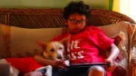 Ohh My Dog Box Office: A Small Film With A Big Heart Opens To Rs 3 Crore