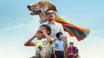 Ohh My Dog Review: Two Dogs, One Big Lesson in Loyalty