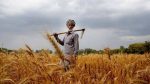 Parliamentary panel flags Bharat Net gaps; state-wise audit