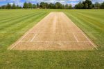 Why Is a Cricket Pitch Exactly 22 Yards Long? The Surprising History Behind Cricket’s Most Fixed Number