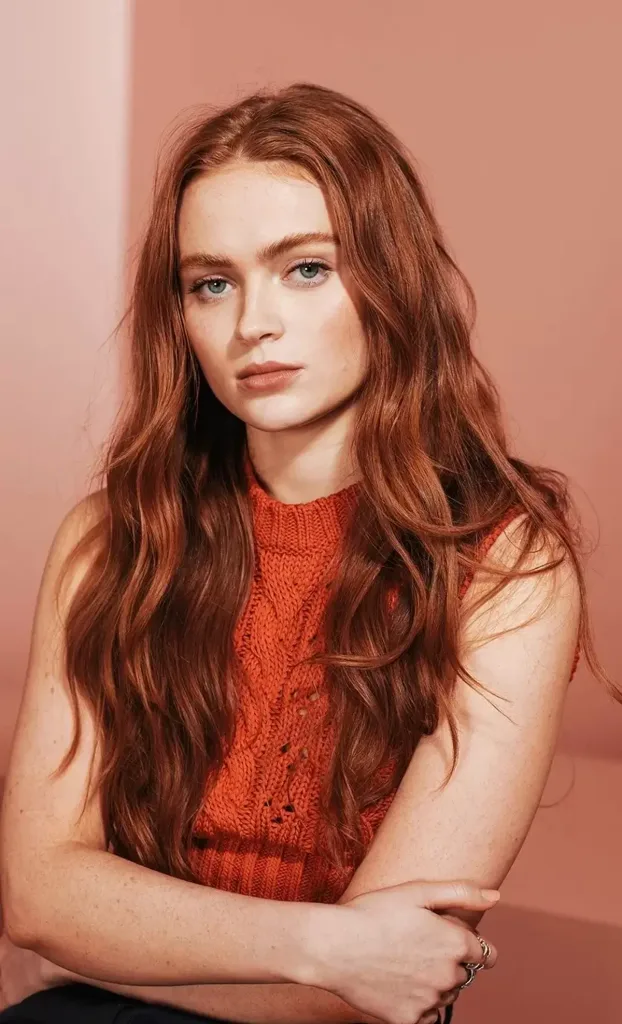 Sadie Sink Net Worth