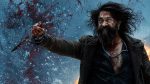 Toxic Box Office Collections Day 16: Yash’s Rs 300 Crore Gamble Ends in Historic Loss