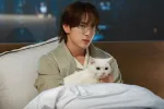 Yim Si Wan Is a Ruthless Perfectionist at Work and a Soft Cat Dad at Home in Love in Disguise