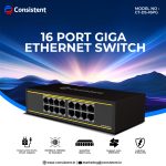 Consistent Infosystems