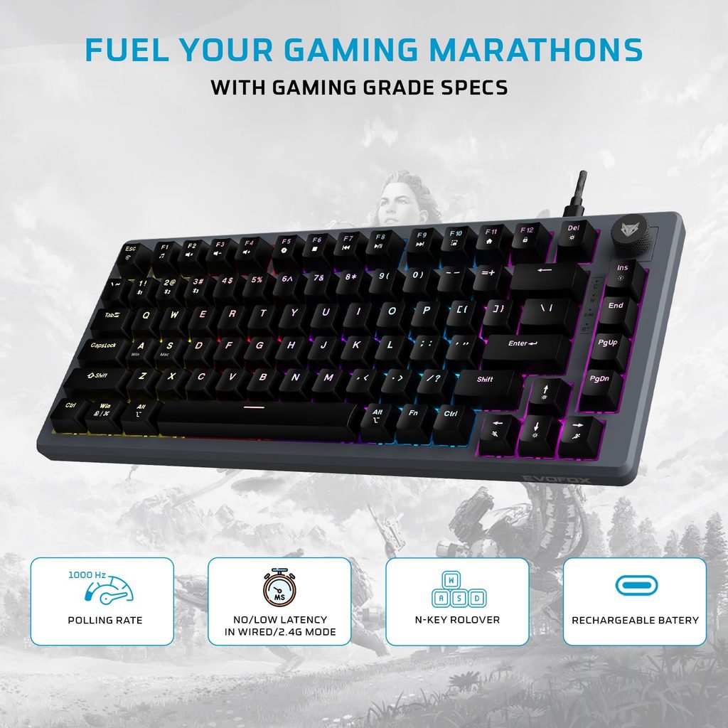 EvoFox Katana X2 TKL Keyboard
