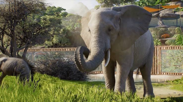 Planet Zoo 2: Pre-loading Is Live Now!