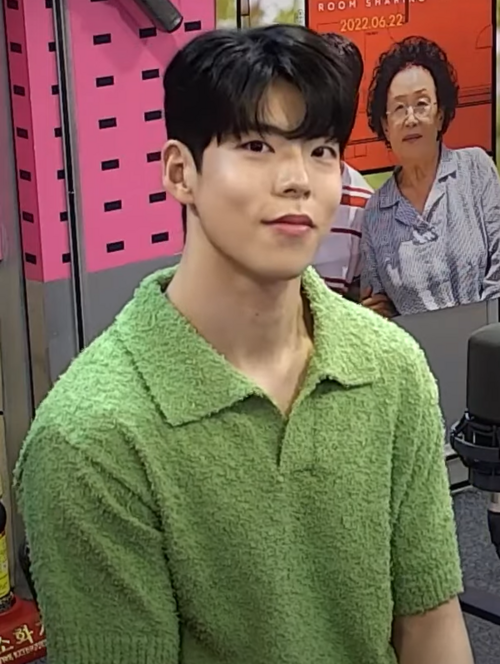 Choi Mu-sung